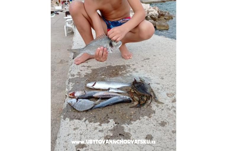 Appartamenti KiS Zelić – foto 21
