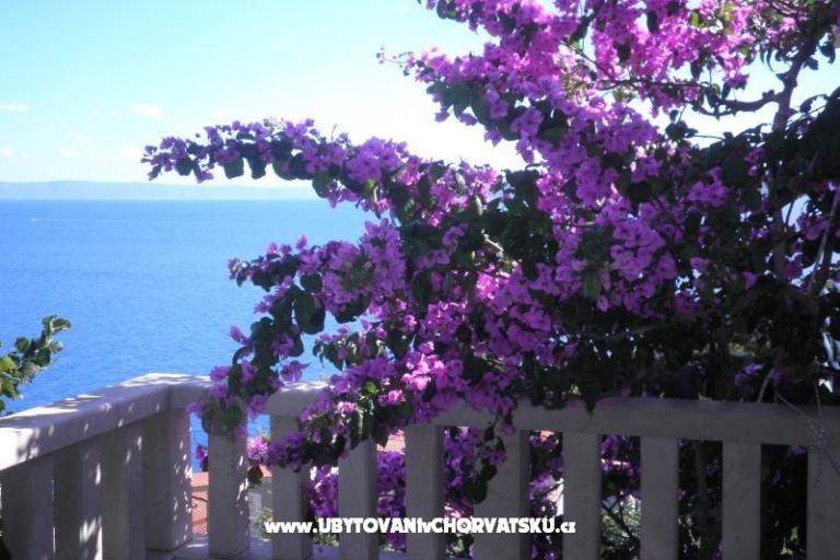 Appartamenti Perla – foto 15