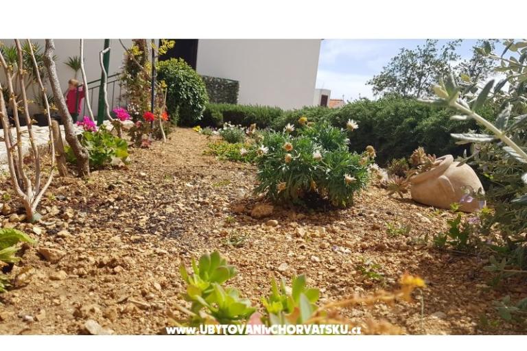Appartamenti Tomas Brela – foto 6