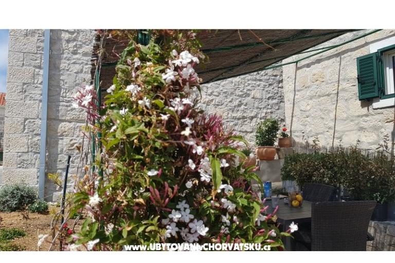 Appartamenti Tomas Brela – foto 7