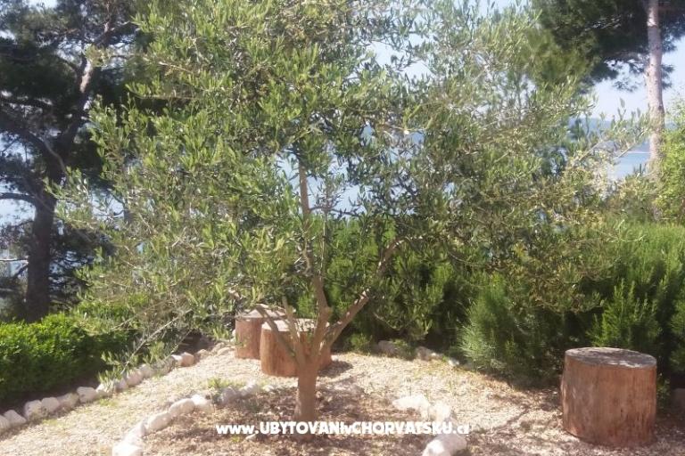 Appartamenti Vesna  - Brela – foto 5
