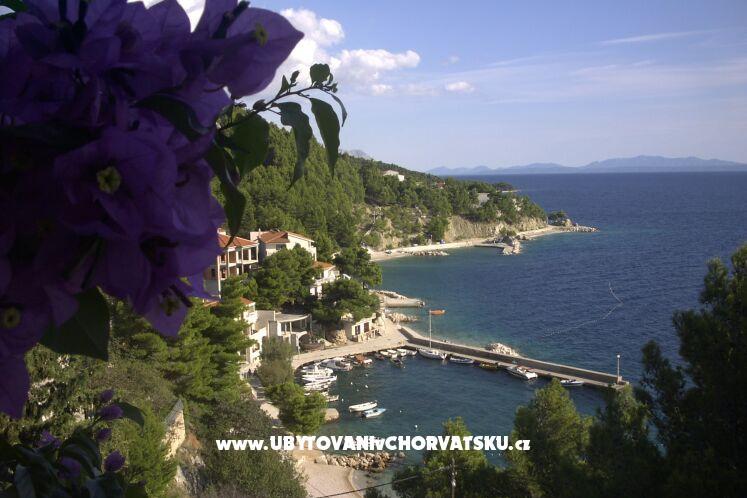 Appartamenti Jagoda – foto 3