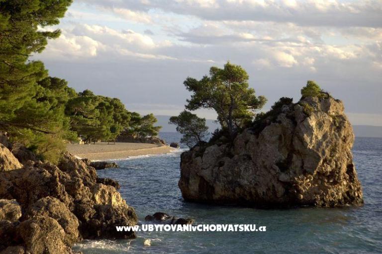 Appartamenti Jagoda – foto 8