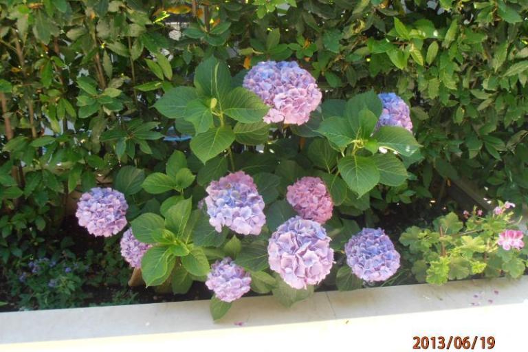 Appartamento Renata – foto 17