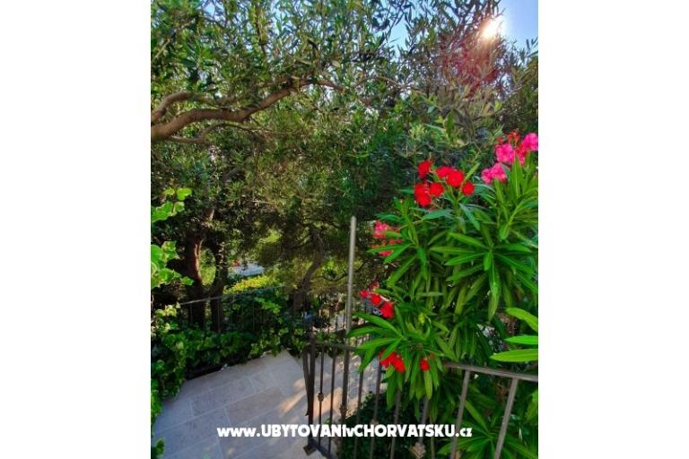 Appartamento Renata – foto 5