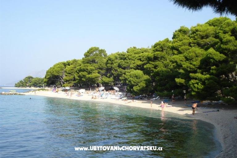 Appartamenti &amp; Camere Nena – foto 9