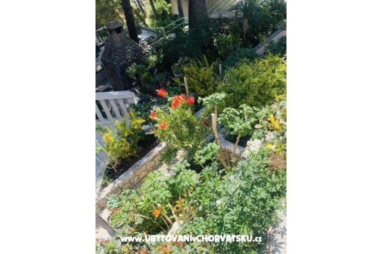 Appartamenti More – foto 6