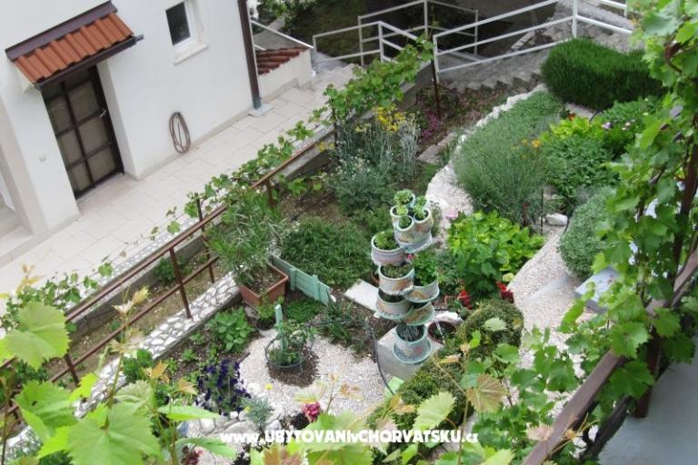 Appartamenti  Ivo Pikolo – foto 10
