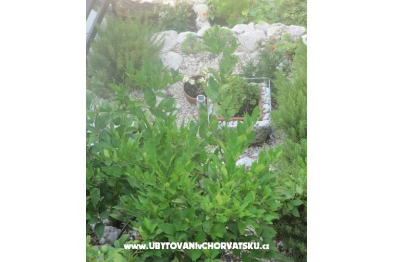 Appartamenti  Ivo Pikolo – foto 18