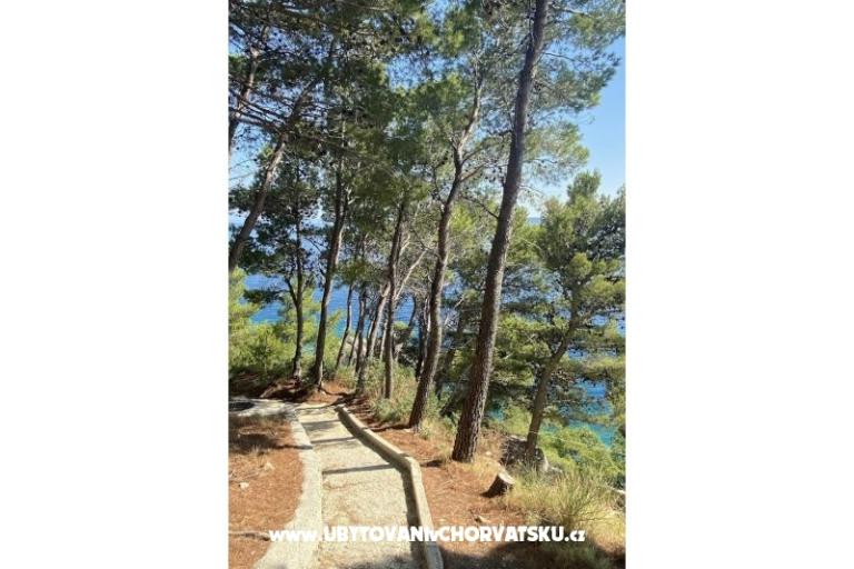Appartamenti EOL – foto 11
