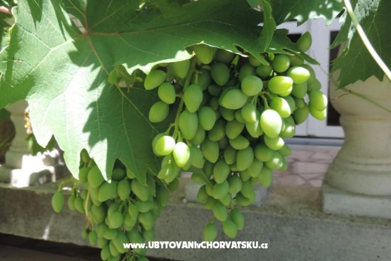 Casa Željko i Marija – foto 13
