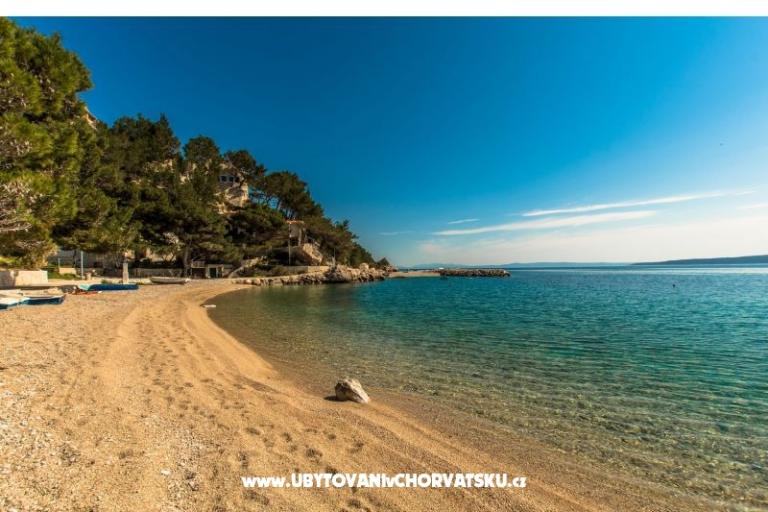 Pine Canopy Studios and Appartamenti – foto 10