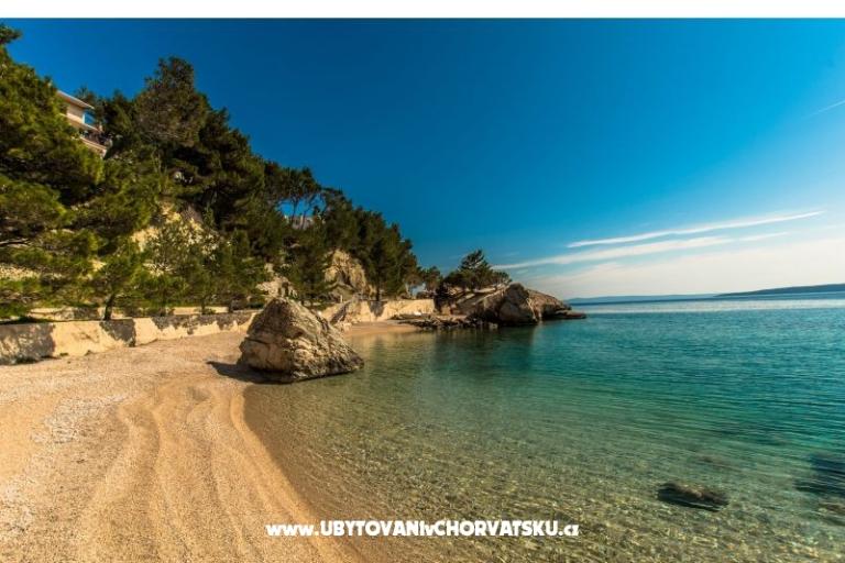 Pine Canopy Studios and Appartamenti – foto 12