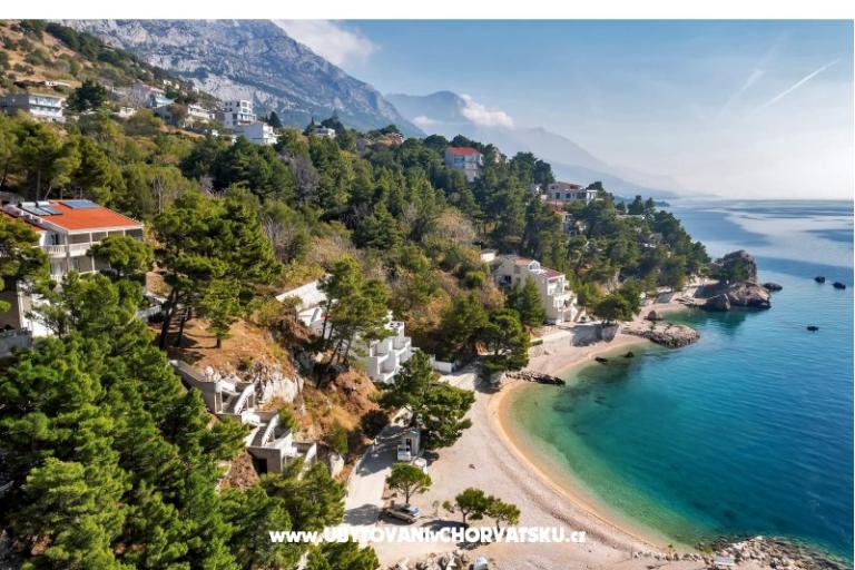 Pine Canopy Studios and Appartamenti – foto 13