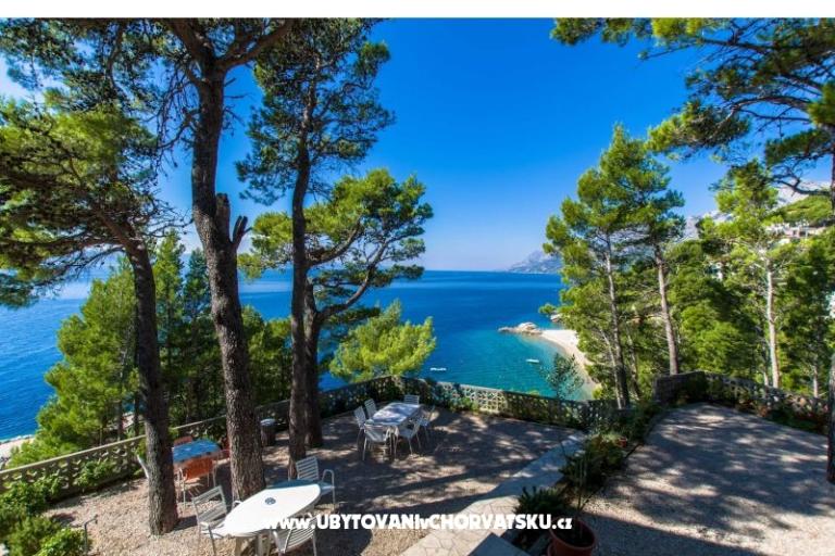 Pine Canopy Studios and Appartamenti – foto 15