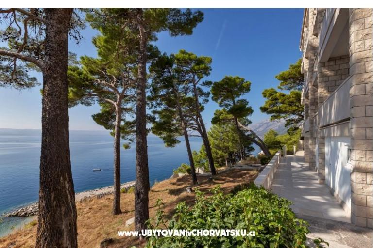 Pine Canopy Studios and Appartamenti – foto 16