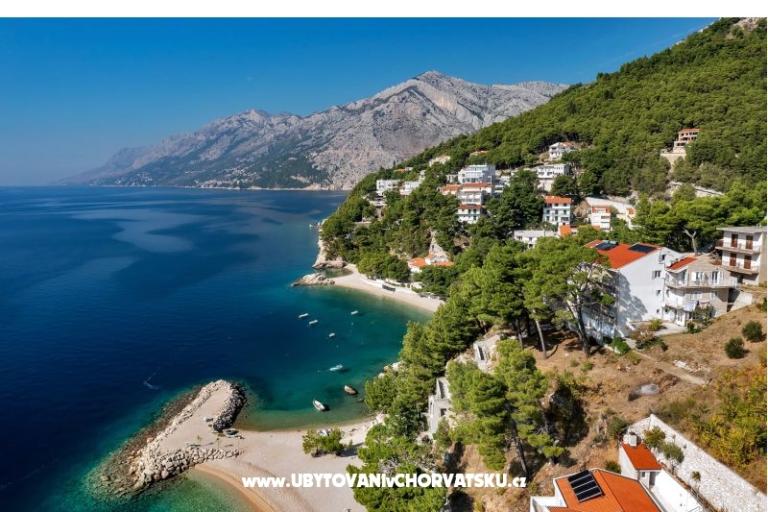 Pine Canopy Studios and Appartamenti – foto 3