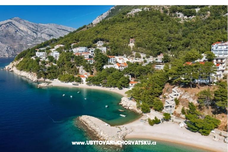 Pine Canopy Studios and Appartamenti – foto 4