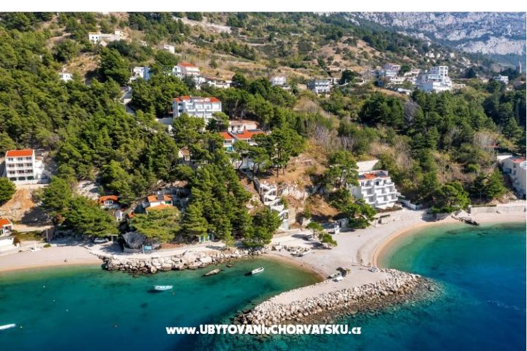 Pine Canopy Studios and Appartamenti – foto 6