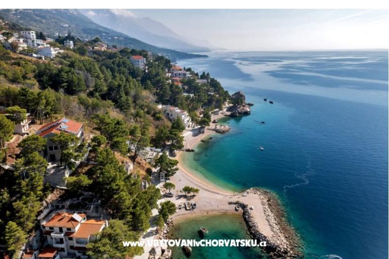 Pine Canopy Studios and Appartamenti – foto 7