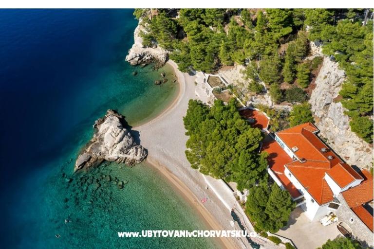 Pine Canopy Studios and Appartamenti – foto 8