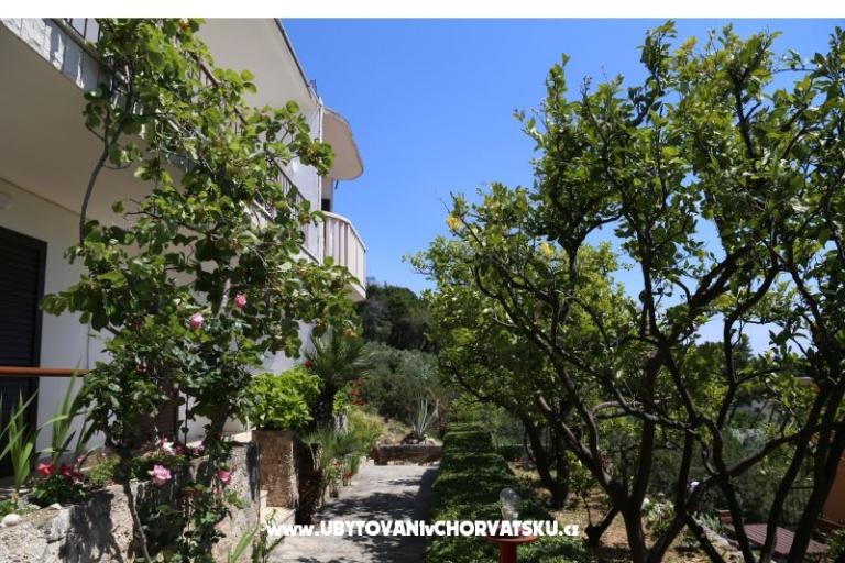 Appartamenti Mare – foto 17
