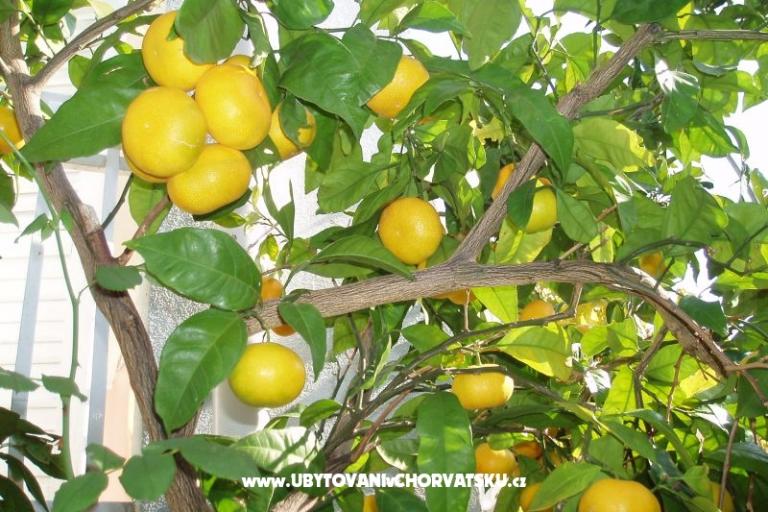 Appartamenti Orbanić – foto 12
