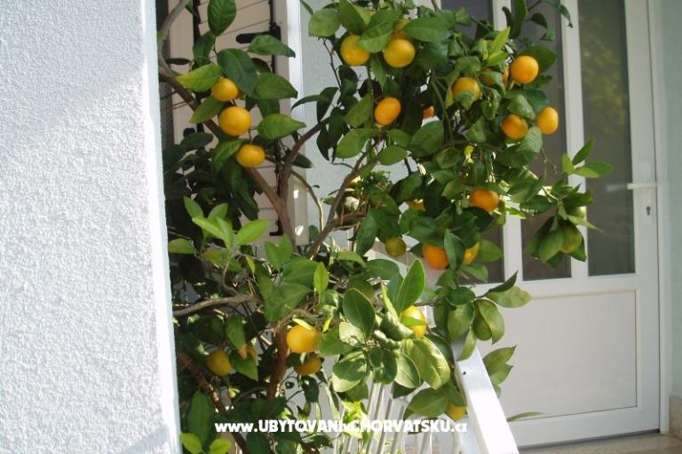 Appartamenti Orbanić – foto 14