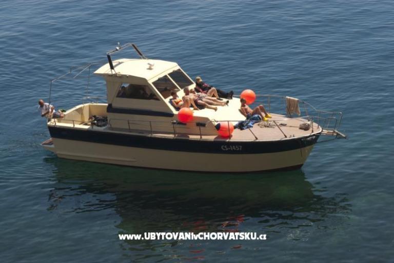 Pansion Tramontana – foto 9