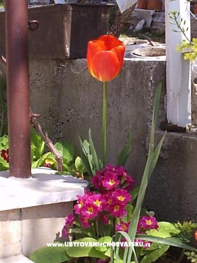 Ankica Appartamenti – foto 4
