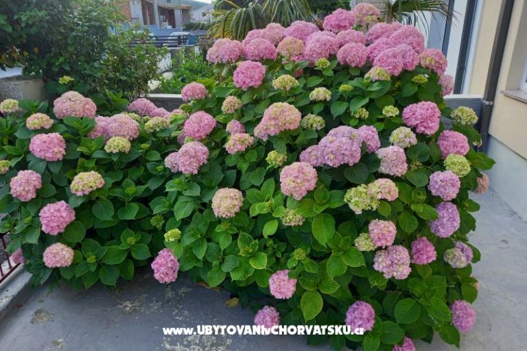 Appartamenti Rosi – foto 3