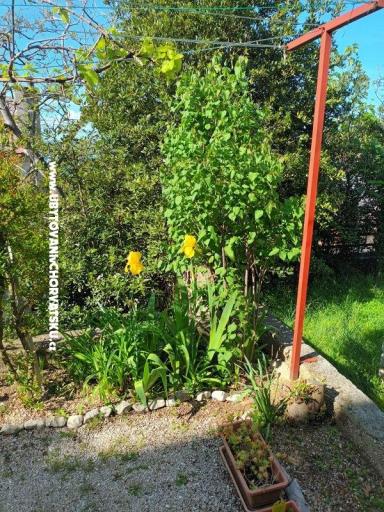 Appartamenti Rosi – foto 6