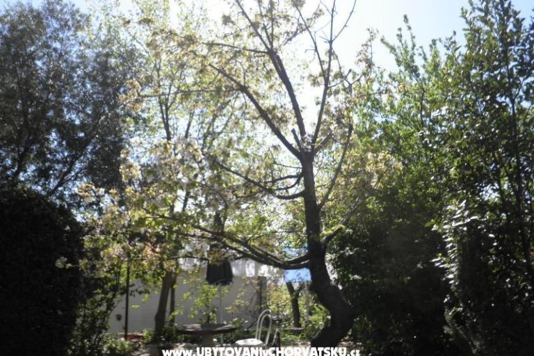 Appartamenti Rosi – foto 9