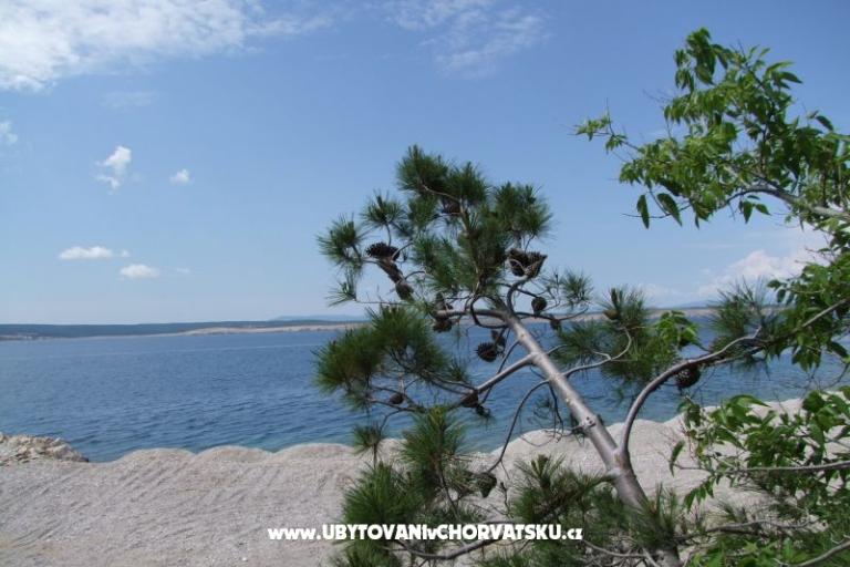 Appartamenti Višnja – foto 13