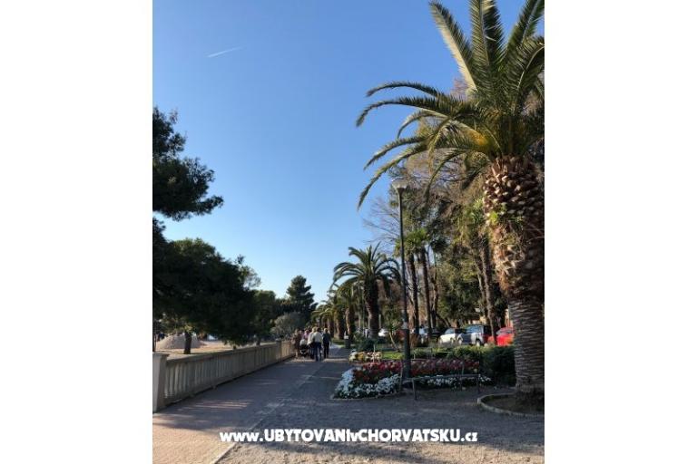Appartamenti Sun and Sea – foto 10