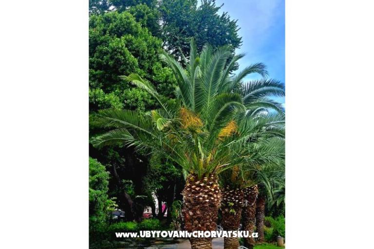 Appartamenti Vukelić Crikvenica – foto 43
