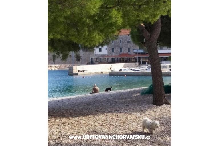 Appartamenti Plavi Jadran – foto 7
