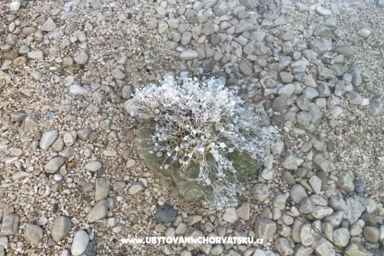 Appartamentoový dům  – foto 7