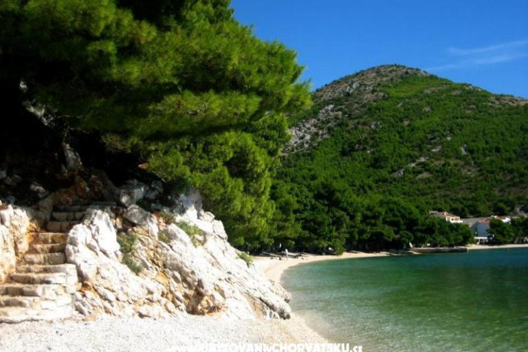 Appartamenti Puntin – foto 7