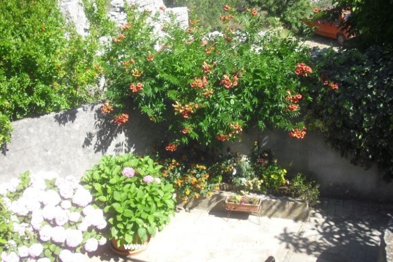 Appartamento Jerkunica – foto 11
