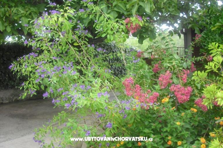 Appartamento Jerkunica – foto 12
