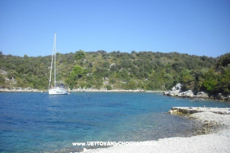 Appartamento Jerkunica – foto 17