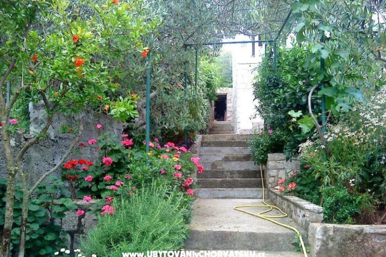 Appartamento Žulji – foto 5