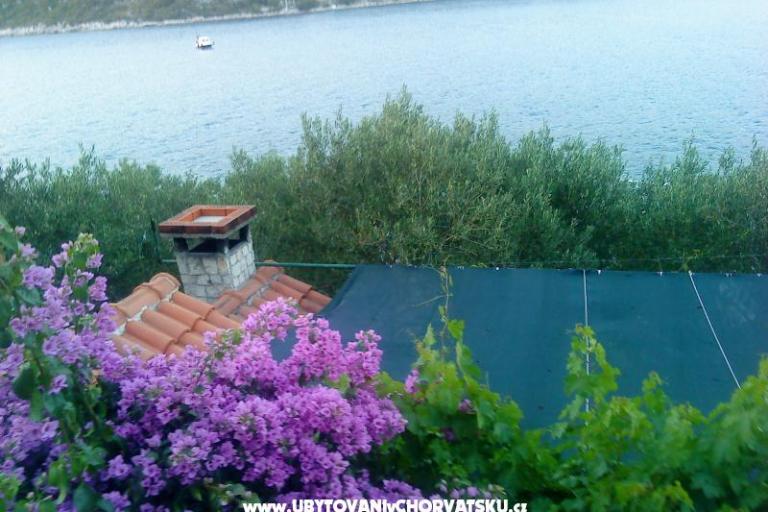 Appartamento Žulji – foto 8