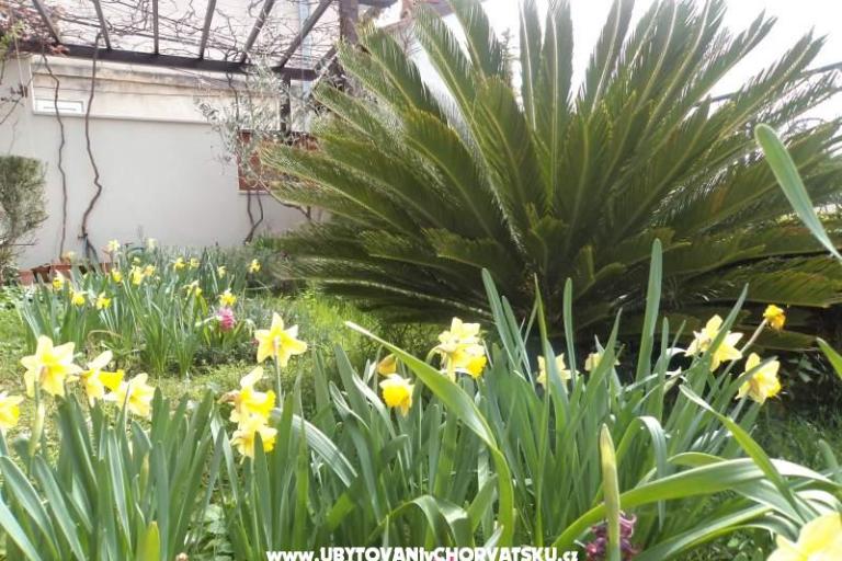 Appartamento Venier – foto 14
