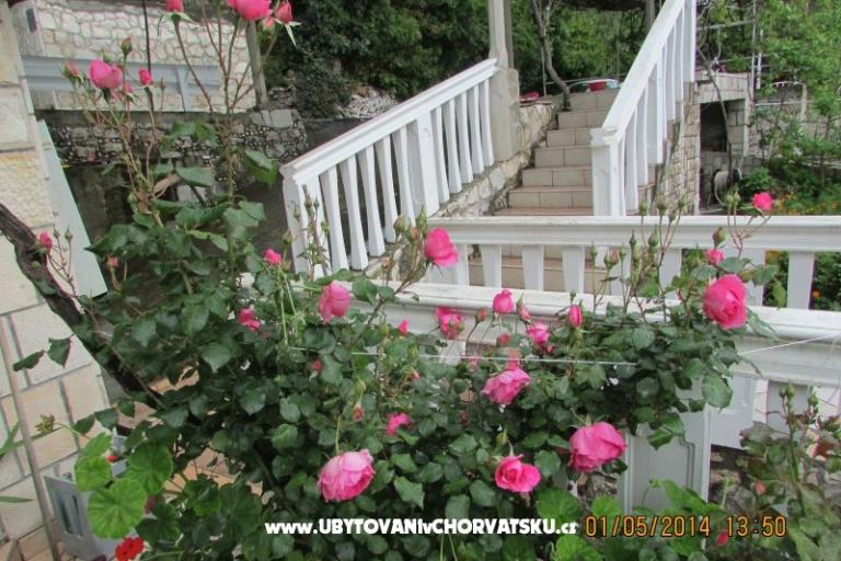 Appartamenti  Anka – foto 17