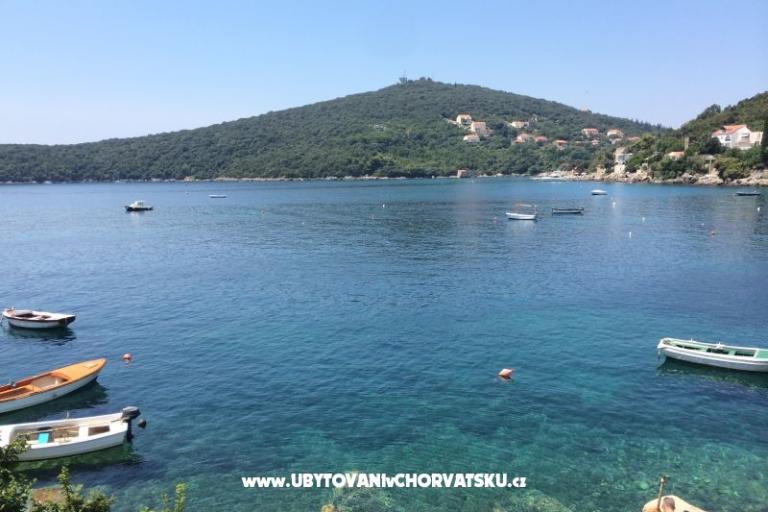 Appartamenti Antunović – foto 11