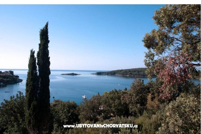 Appartamento Iva – foto 2