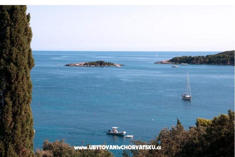 Appartamento Iva – foto 3