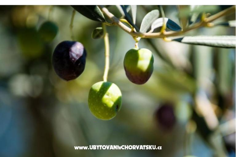 Appartamento Franica – foto 13